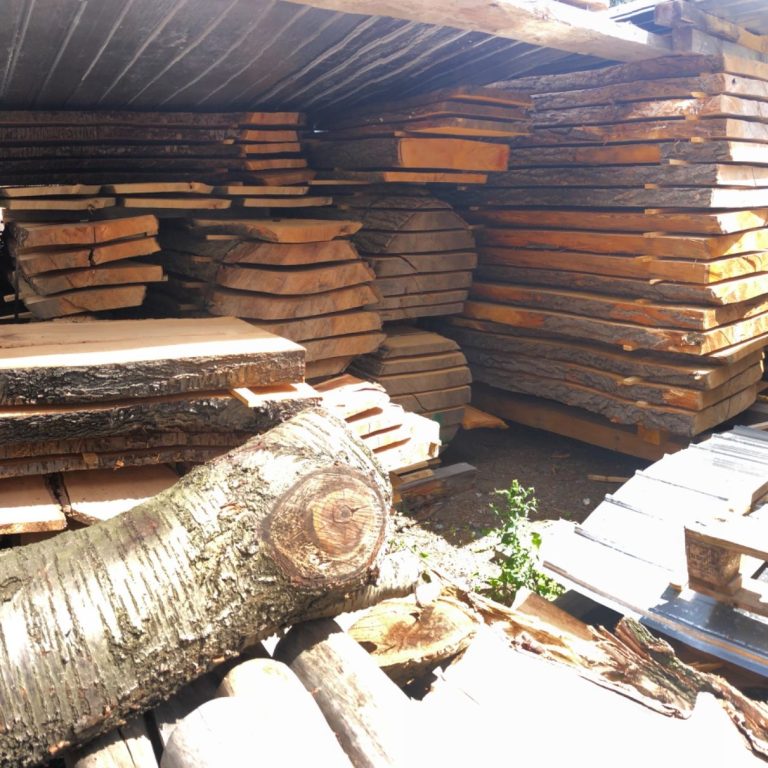 Lagerung von Schnittholz Ein Holzlager mit gestapeltem Holz, darunter ein dicker Baumstamm.